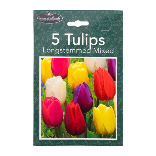 Crown & Brooke Long Stemmed Mixed Tulips Bulbs 5 Pack Seeds and Bulbs Crown & Brooke   
