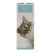 2023 Slimline Pet Wall Calendars Assorted Styles Calendars FabFinds Cats  