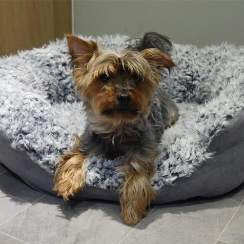 Rosewood Grey Lion Fur Oval Dog Bed 71cm Dog Beds Rosewood   