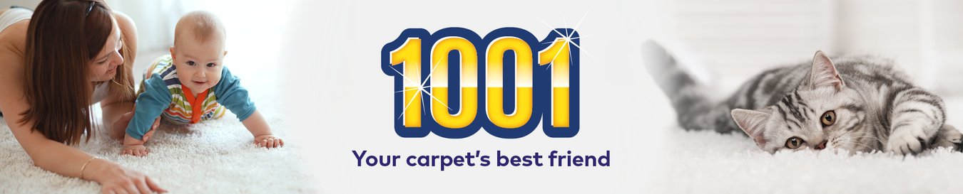 1001 Carpet Care
