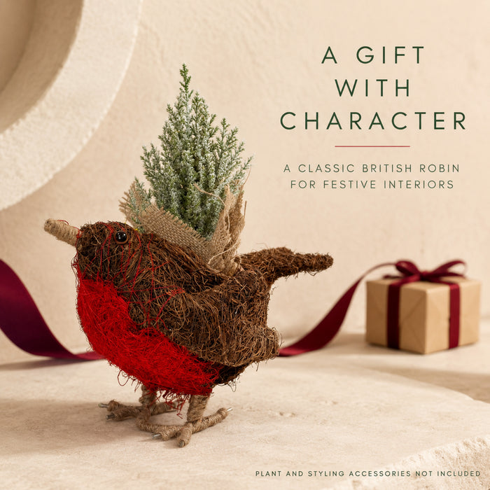 Rattan Robin Red Breast Home Planter Garden Planter Fabfinds
