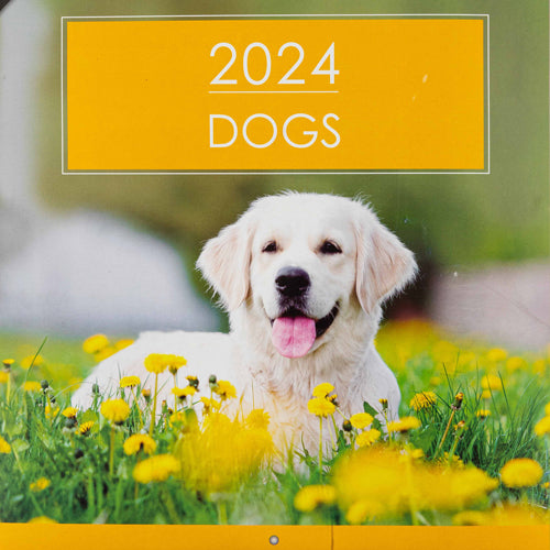 2024 Dogs Square Calendar 28cm x 28cm Calendars Design Group   