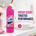 Domestos Pink Power Bleach 750ml Assorted Packs Toilet Cleaners Domestos