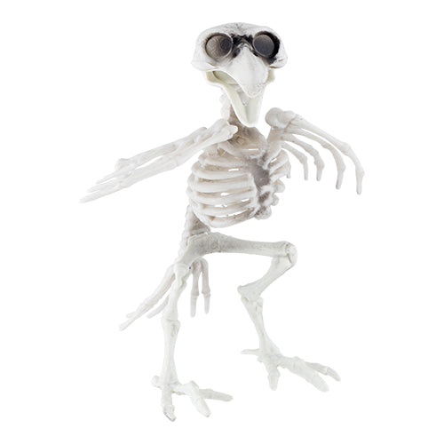 Scary Skeleton Bird Halloween Decoration Halloween Decorations FabFinds   