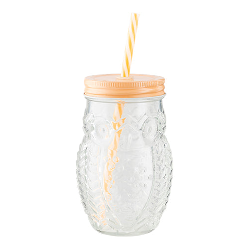 Woolf & Baker Owl Mason Jar With Straw Assorted Colours Kitchen Accessories woolf & baker   