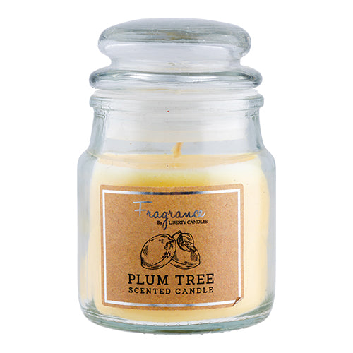 Fragrance By Liberty Mini Candles Assorted Scents 3oz Candles Liberty Candles Plum Tree  