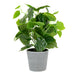 Artificial Plant in Grey Plant Pot Assorted Colours Artificial Plant FabFinds Green Plant 1  