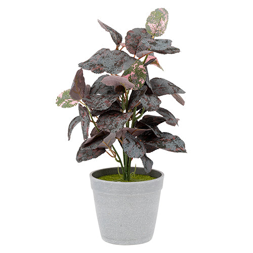 Artificial Plant in Grey Plant Pot Assorted Colours Artificial Plant FabFinds Grey Green Leaves  