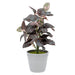 Artificial Plant in Grey Plant Pot Assorted Colours Artificial Plant FabFinds Grey Green Leaves  