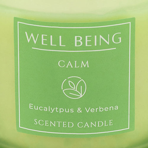 Well Being Calm Eucalyptus & Verbena Frosted Scented Candles 4oz Candles FabFinds   