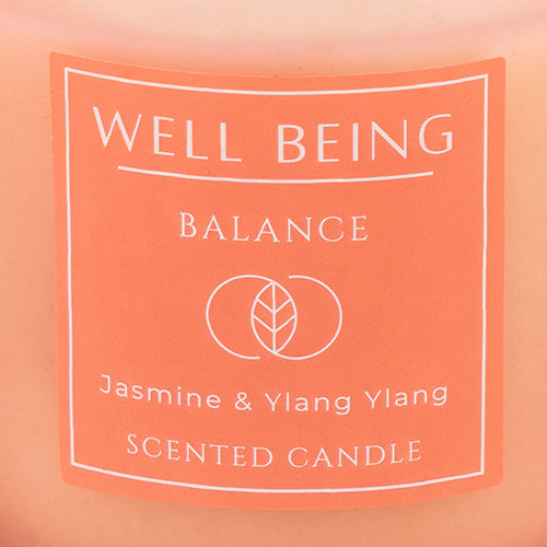 Well Being Balance Jasmine & Ylang Ylang Frosted Scented Candle 4oz Candles FabFinds   