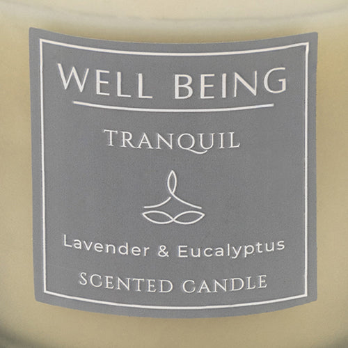 Well Being Tranquil Lavender & Eucalyptus Frosted Scented Candle 4oz Candles FabFinds   