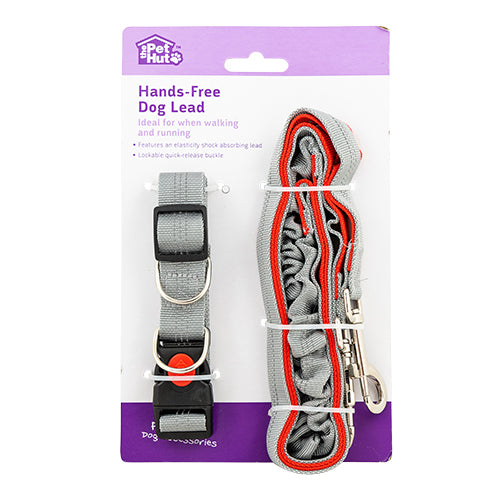 Lockable dog outlet lead