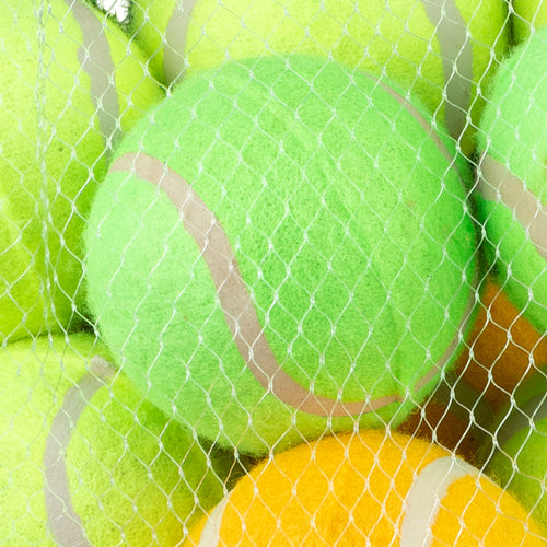 Pet Living 10 Doggy Play Tennis Balls Dog Toys Pet Living   