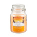 Sunset Kiss Scented Large Jar Candle 18oz Candles FabFinds   