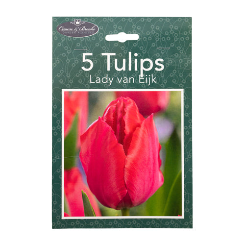 Crown & Brooke Lady Van Eijk Tulips Bulbs 5 Pack Seeds and Bulbs Crown & Brooke   