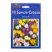 Crown & Brooke Specie Crocus Mixed Bulbs 10 Pack Seeds and Bulbs Crown & Brooke   