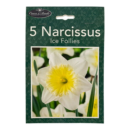 Crown & Brooke Narcissus Ice Follies Daffodils Bulbs 5 Pack Seeds and Bulbs Crown & Brooke   