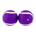 Pet Touch Squeaky Doggy Play Balls 2 Pack Dog Toys Pet Touch   