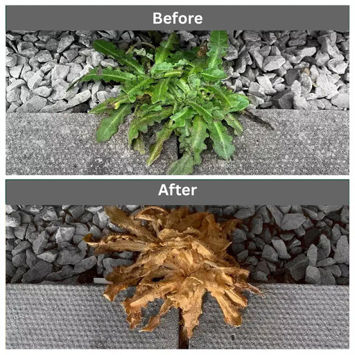 Rootblast Total Weedkiller 2.5L Lawn & Plant Care RootBlast