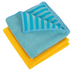 Addis Microfibre Cloths Window & Glass Kit 2 Pack Cloths, Sponges & Scourers Addis