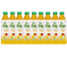 Flavita Dr. Aloe Mango Aloe Vera Drink 500ml Assorted Packs Drinks flavita Pack of 9