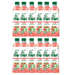 Flavita Dr. Aloe Strawberry Flavour Drink 500ml Assorted Packs Drinks flavita Pack of 12