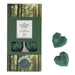 Ashleigh & Burwood Citrus & Sandal Wax Melts 8x8g Wax Melts Ashleigh & Burwood Pack of 1