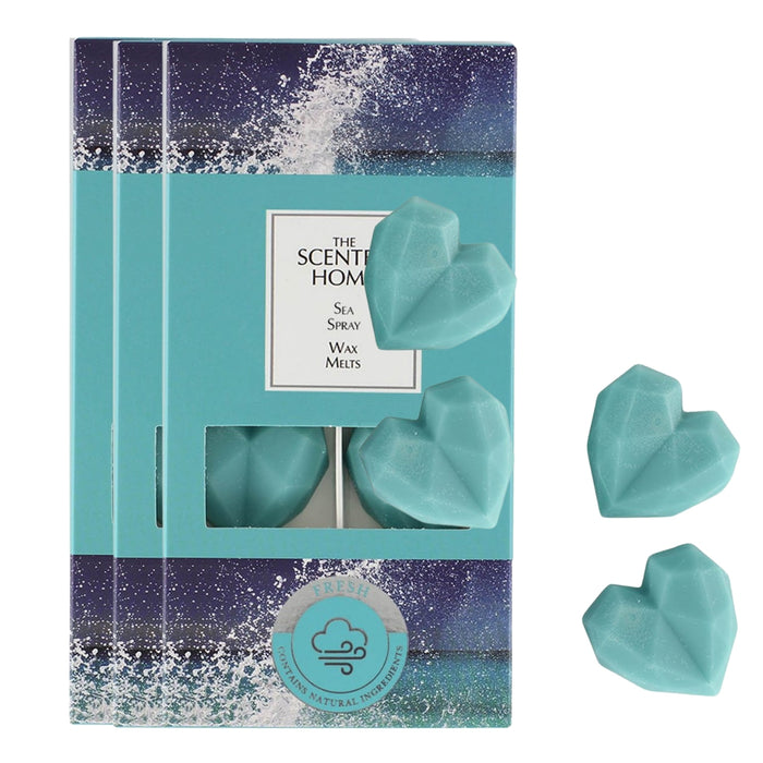 Ashleigh & Burwood Sea Spray Wax Melts 8x8g Wax Melts Ashleigh & Burwood Pack of 3