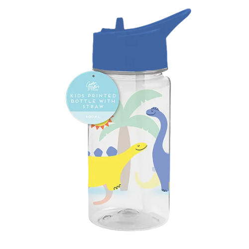 Boys Printed Bottle with Straw 400ml FabFinds Dinosaur