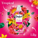 Comfort Perfume Creations Tropical Lily Fabric Conditioner 30 Washes 900ml Assorted Packs Laundry - Fabric Conditioner FabFinds