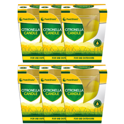 Citronella Outdoor Candle Assorted Packs Candles FabFinds Pack of 6