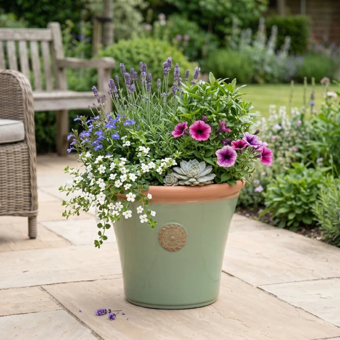 Creekwood Chatsworth Plant Pot Assorted