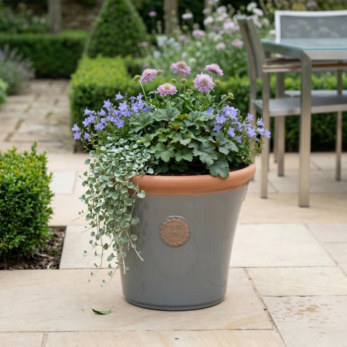 Creekwood Chatsworth Plant Pot Assorted