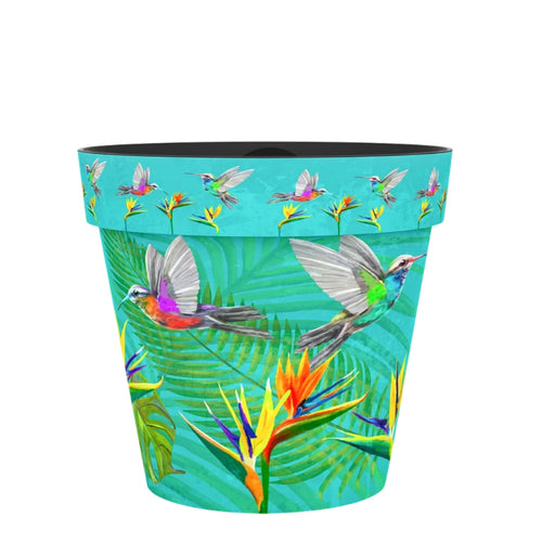 Creekwood Hummingbird Zest Plant Pot Assorted Sizes Plant Pots & Planters Creekwood 15cm