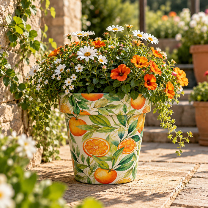 Creekwood Monda Zest Plant Pot Assorted Sizes Plant Pots & Planters Creekwood