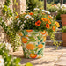 Creekwood Monda Zest Plant Pot Assorted Sizes Plant Pots & Planters Creekwood