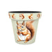 Creekwood Squirrel Zest Plant Pot Assorted Sizes Plant Pots & Planters Creekwood 15cm