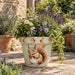 Creekwood Squirrel Zest Plant Pot Assorted Sizes Plant Pots & Planters Creekwood