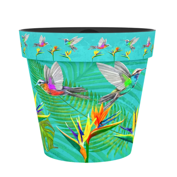 Creekwood Hummingbird Zest Plant Pot Assorted Sizes Plant Pots & Planters Creekwood 22cm