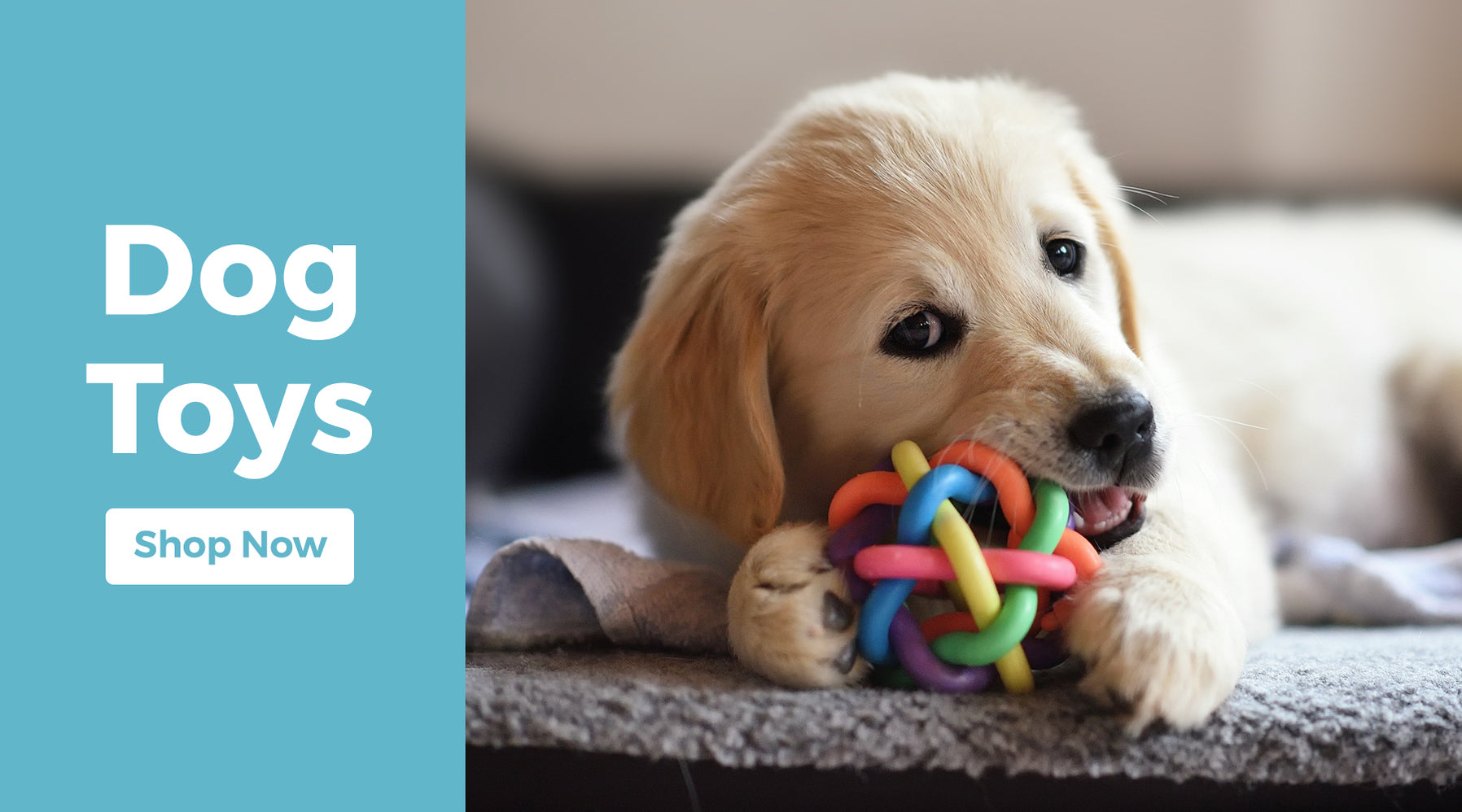 Affordable Pet Products for Cats, Dog & Small Animals FabFinds