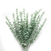 Artificial Eucalyptus Stem 80cm 6 Pack Home Decoration FabFinds