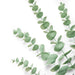 Artificial Eucalyptus Stem 80cm 6 Pack Home Decoration FabFinds