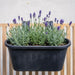 Garden Essentials Over Fence Plastic Basket 38cm Assorted Colours Plant Pots & Planters Garden Essentials