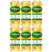 Zoflora Lemon Zing Concentrated Disinfectant 250ml Disinfectants Zoflora Pack of 6