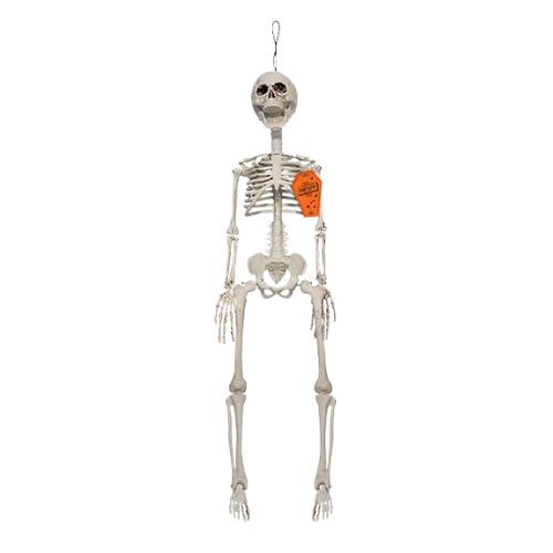Hanging Skeleton 79cm Halloween Decorations FabFinds