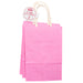 Voila Small Gift Bags 3pc Assorted Colours Gift Bags Voila Bubblegum Pink  