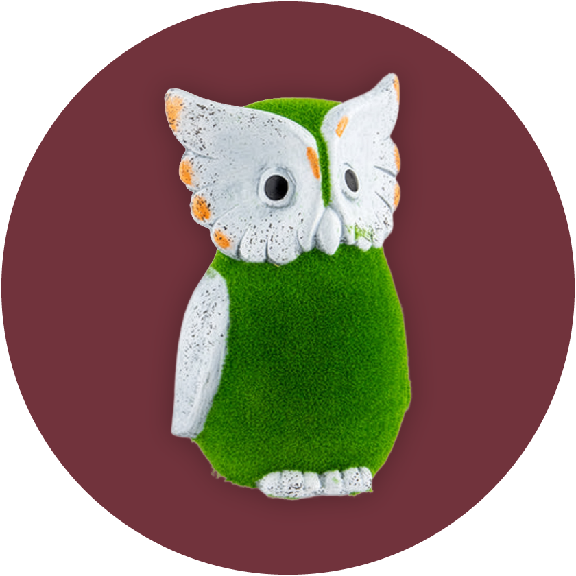 Garden Accessories