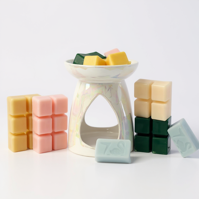 Wax Melt & Oil Burner 33-Piece Autumn Bundle Wax Melts & Oil Burners FabFinds