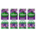 Zoflora Midnight Bloom Concentrated Fragrance 120ml Assorted Packs Disinfectants Zoflora Pack of 4